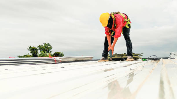 Best Storm Damage Roof Repair  in Norwalk, OH